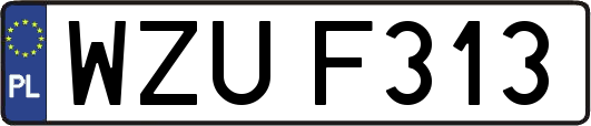 WZUF313