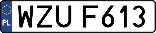 WZUF613