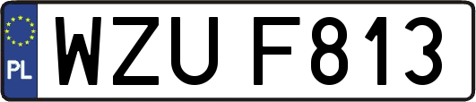 WZUF813