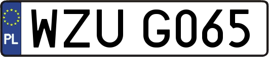 WZUG065