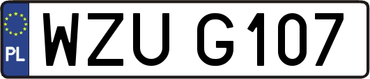 WZUG107