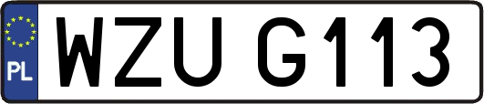 WZUG113