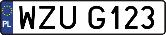 WZUG123