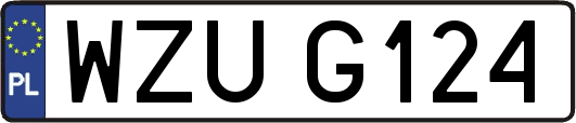WZUG124