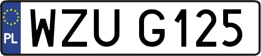 WZUG125