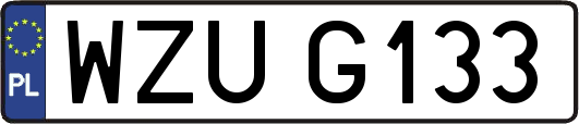 WZUG133