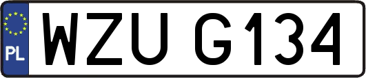WZUG134
