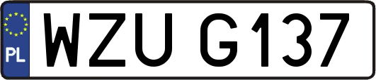 WZUG137