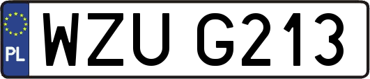 WZUG213