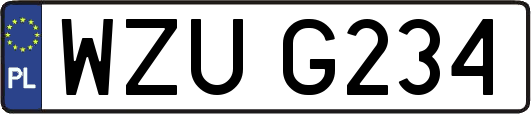 WZUG234