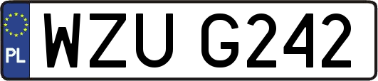 WZUG242