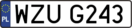 WZUG243