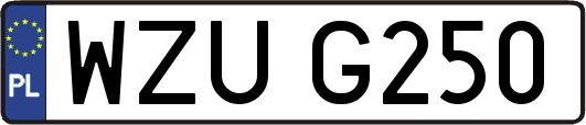 WZUG250