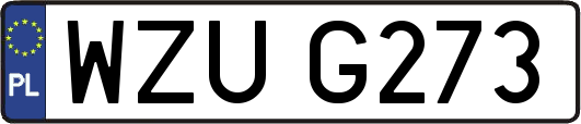 WZUG273