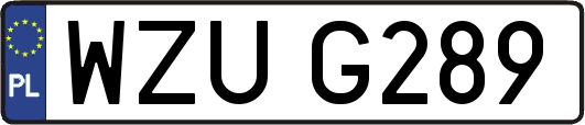WZUG289
