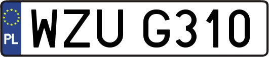WZUG310