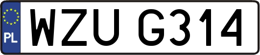 WZUG314