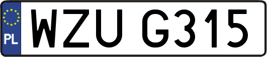 WZUG315