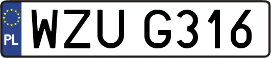 WZUG316