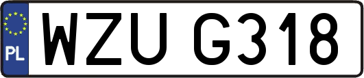 WZUG318