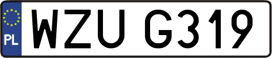 WZUG319