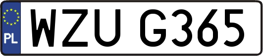 WZUG365