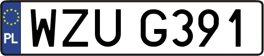 WZUG391