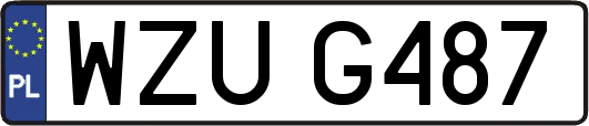 WZUG487