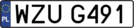 WZUG491