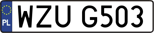WZUG503