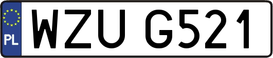WZUG521