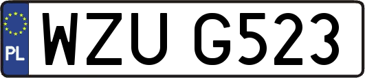 WZUG523