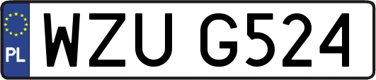 WZUG524