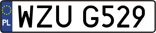 WZUG529