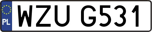 WZUG531