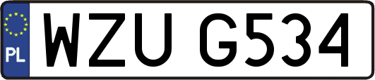 WZUG534