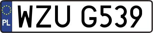 WZUG539