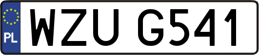WZUG541