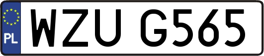 WZUG565