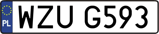 WZUG593