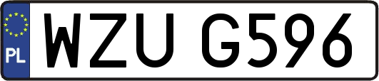 WZUG596