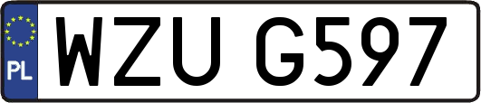 WZUG597