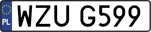 WZUG599