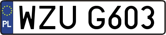 WZUG603