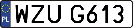 WZUG613