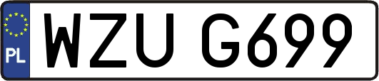 WZUG699