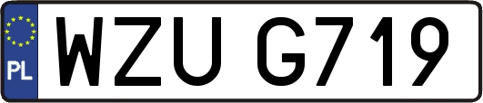 WZUG719