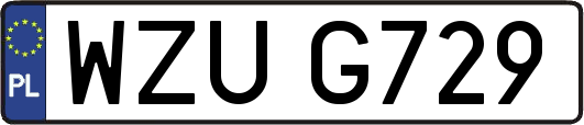 WZUG729