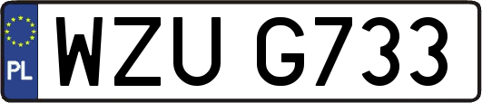 WZUG733