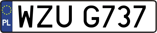 WZUG737